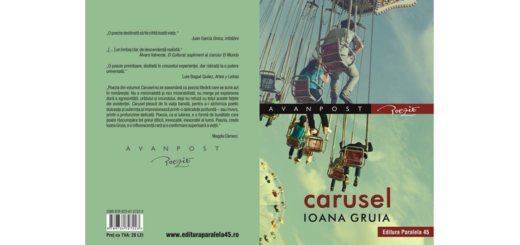 CARUSEL cover by IOANA GRUIA
